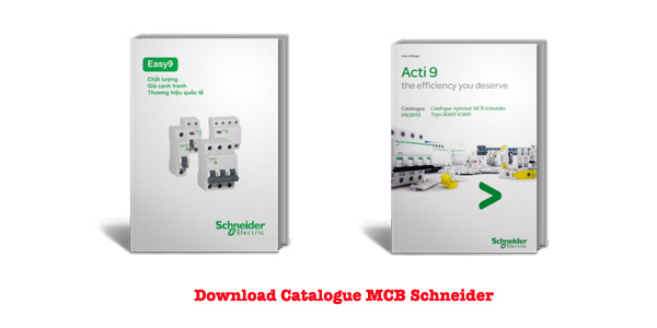 Catalogue MCB Schneider