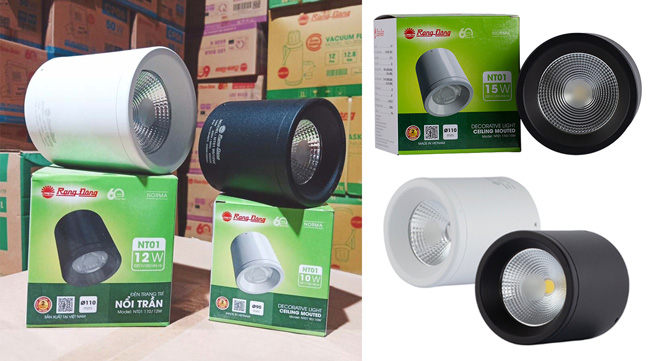 Đèn Led downlight lắp nổi NT01