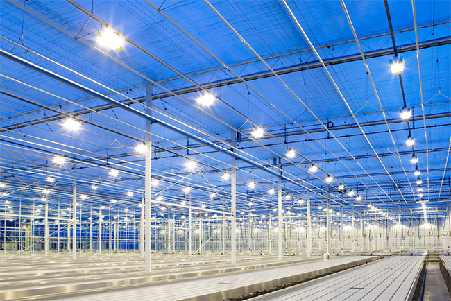 Đèn led nhà xưởng 400w