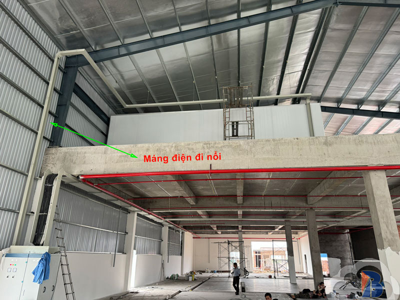 Các loại máng cáp điện và cách lựa chọn phù hợp cho từng công trình