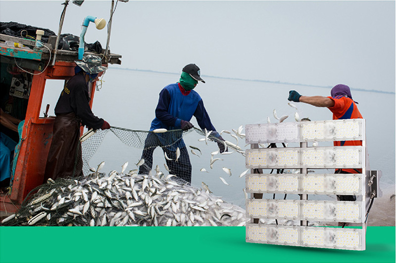 Đèn pha tàu thủy 24v chịu rung lắc mạnh và nước mặn