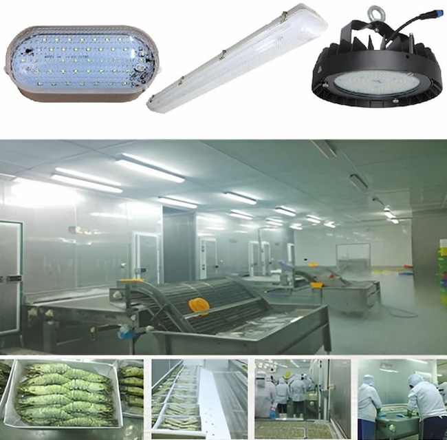 Đèn LED nhà xưởng dùng cho kho lạnh và môi trường ẩm